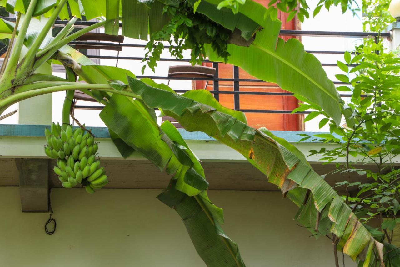 An An Homestay Bungalow Phong Nha Exterior photo