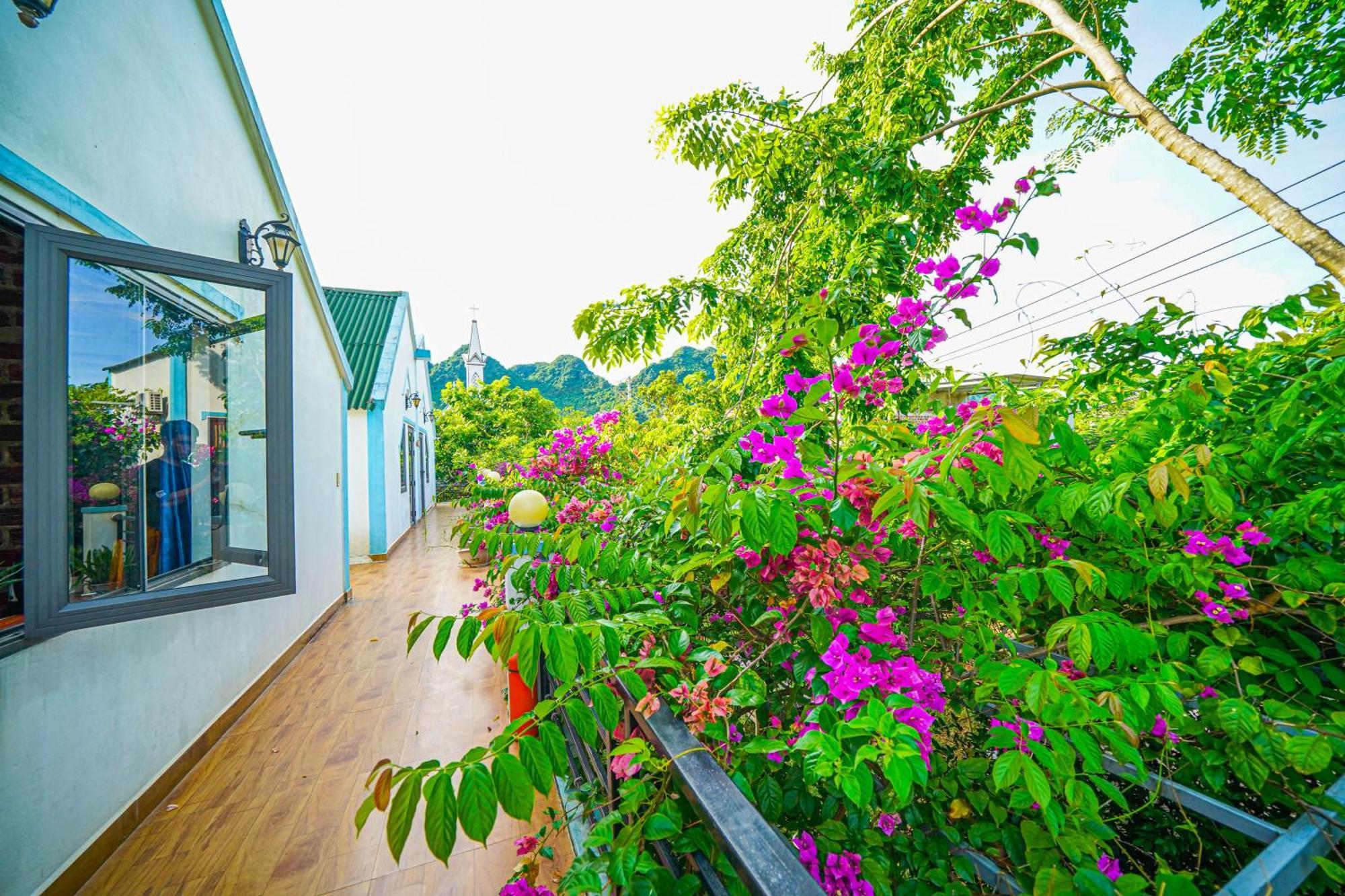 An An Homestay Bungalow Phong Nha Exterior photo